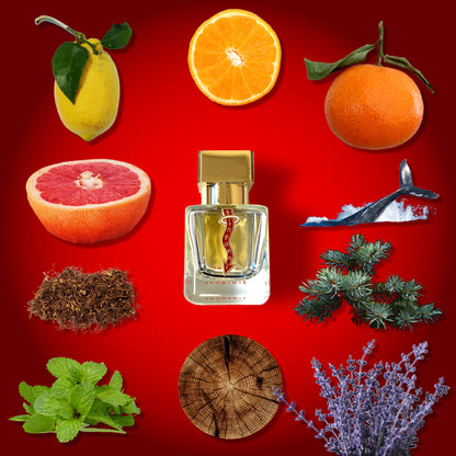 AMERICAN ATTAR ELIXIR